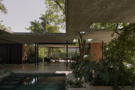 A Forest in the House